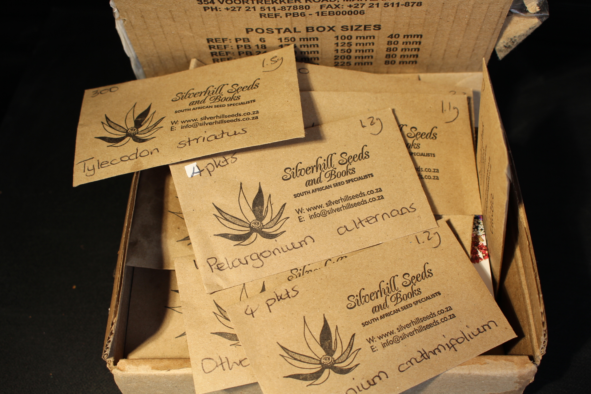 【輸入】南アフリカから種子を輸入　Silverhill Seeds　編