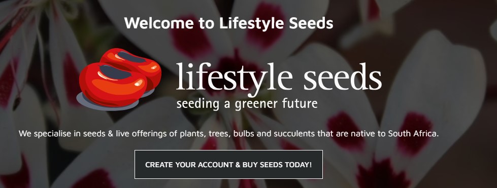 【輸入】南アフリカから種子を輸入　lifestyle seeds 編